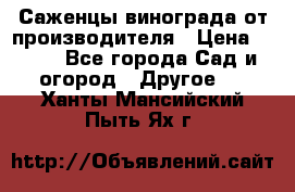 Саженцы винограда от производителя › Цена ­ 800 - Все города Сад и огород » Другое   . Ханты-Мансийский,Пыть-Ях г.